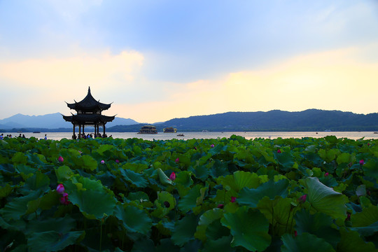 杭州西湖美景