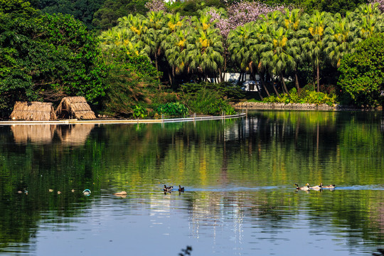 广州流花湖公园