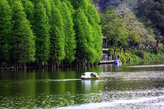 广州麓湖公园