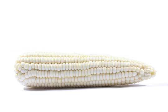 白色底上横放着的新鲜白玉米