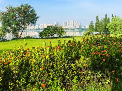 肇庆波海湖公园