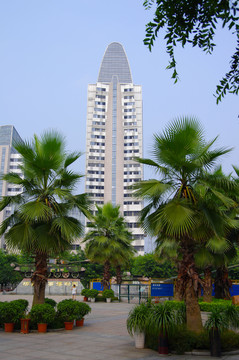 建筑与生态
