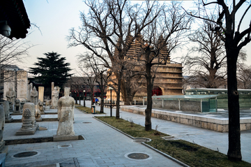 北京真觉寺
