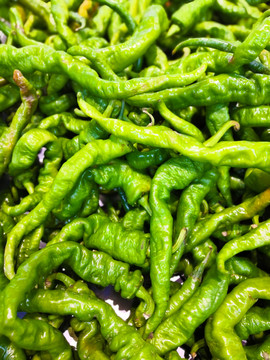 小米椒