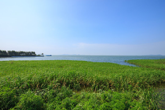 太湖