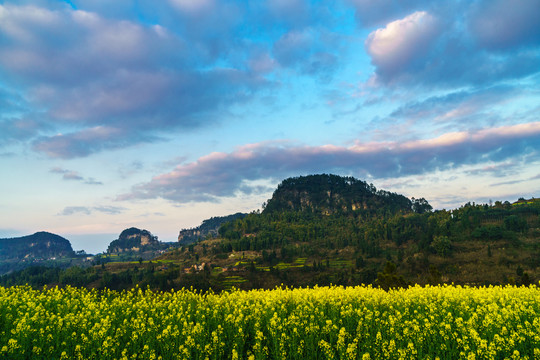 油菜花夕阳天空晚霞