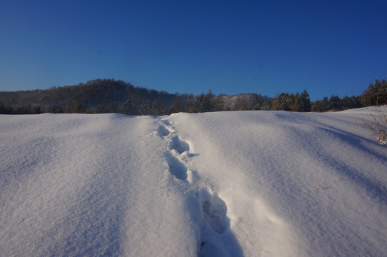 东北雪山
