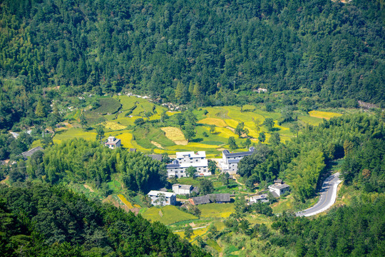 湖北天堂寨国家地质公园夏日风光