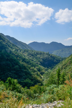 湖北天堂寨国家地质公园夏日风光