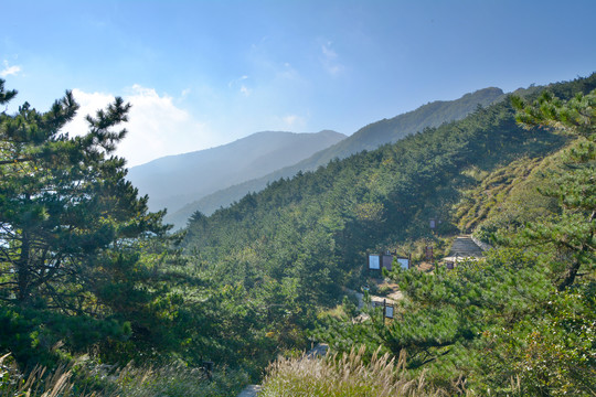 湖北天堂寨国家地质公园夏日风光