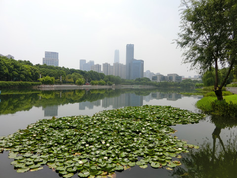 护城河