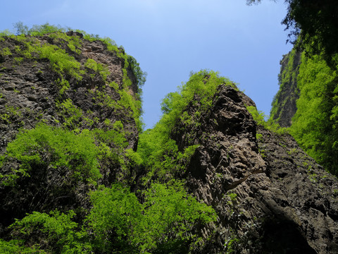 高山丘陵