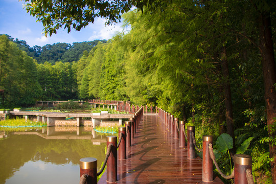 木栈道