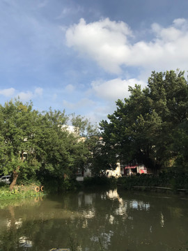 景色