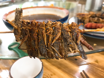 烤蚂蚱 烤蚱蜢 烧烤