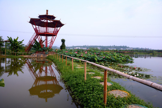 湿地公园