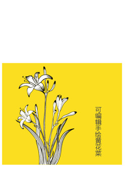 手绘黄花菜