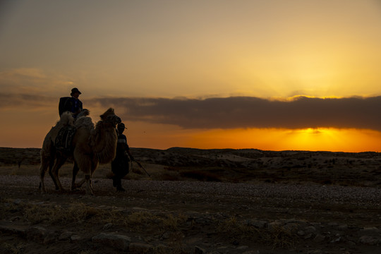 沙漠戈壁滩旅行摄影探险家骑骆驼