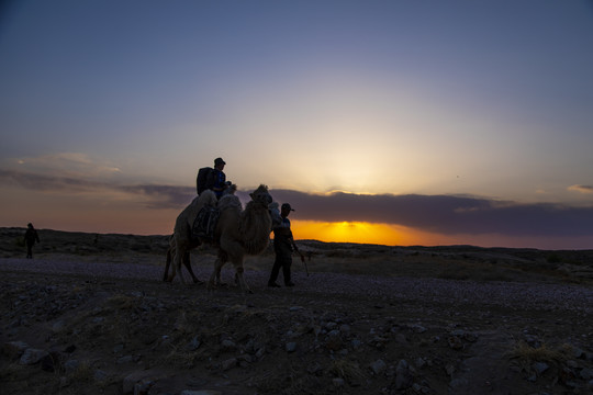 沙漠戈壁滩旅行摄影探险家骑骆驼