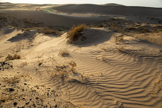 沙漠戈壁滩土地荒漠化