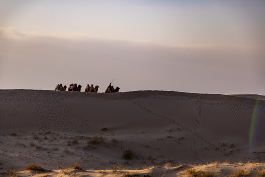 沙漠戈壁滩骆驼队