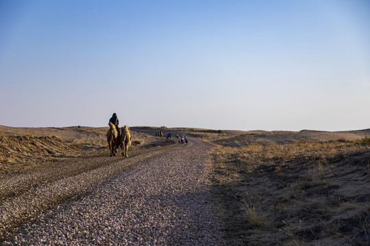 沙漠戈壁滩骑骆驼旅行