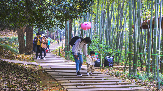 植物园樱花湖畔游人