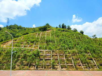 防护坡