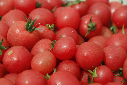 小番茄水果