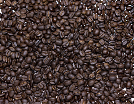 熟咖啡豆