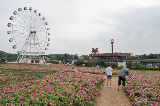 浪漫香草园