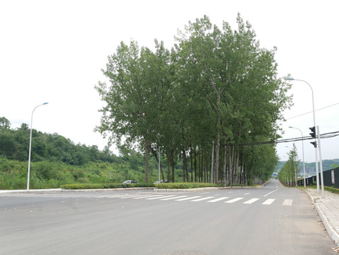 道路