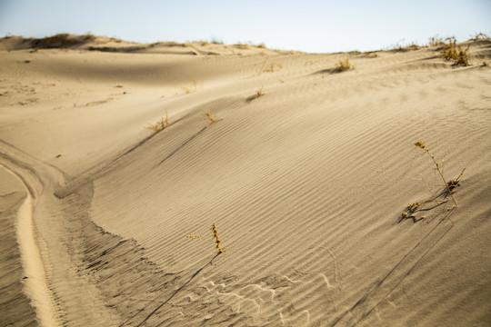 沙漠戈壁滩荒漠化水土流失