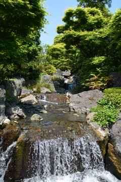 小溪流水