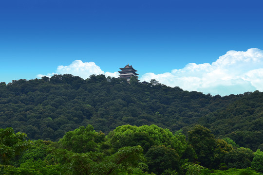 西湖