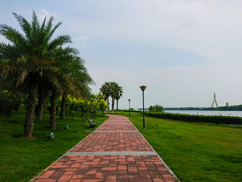 滨海城市的公园小路与绿地