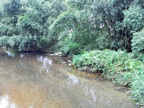 农村河流