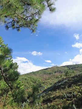 直构图山岭