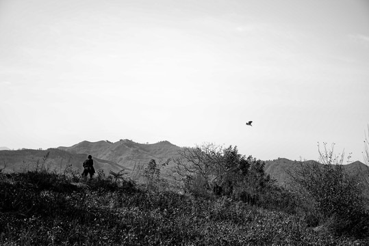 那人那山那鸟