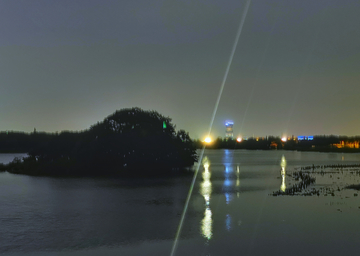 海珠湖夜景