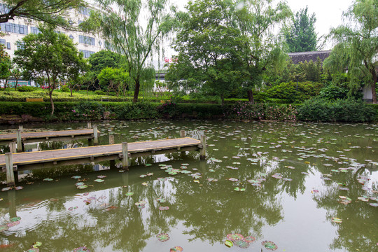 江苏常州红梅公园曲池风荷观景台