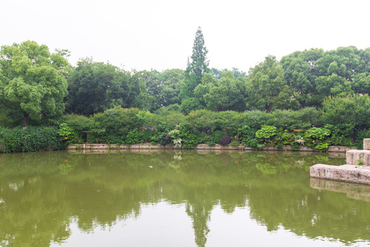 江苏常州红梅公园园林风光