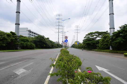 马路