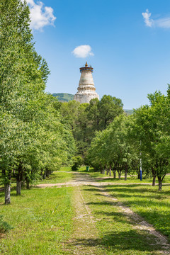 五台山