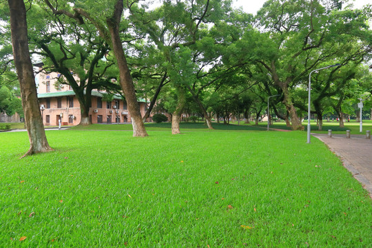中山大学绿树草坪