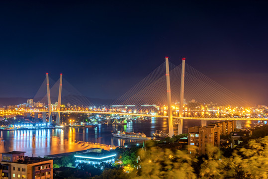 俄罗斯海参崴金角湾大桥夜景风光