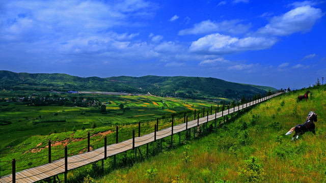 和政县法台山
