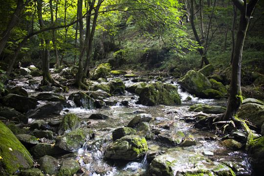 秦岭田峪