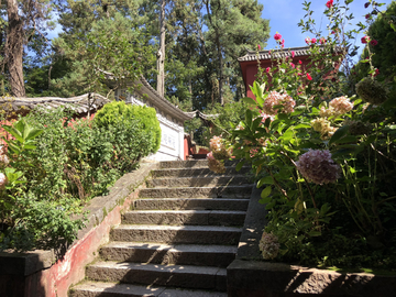 感通寺