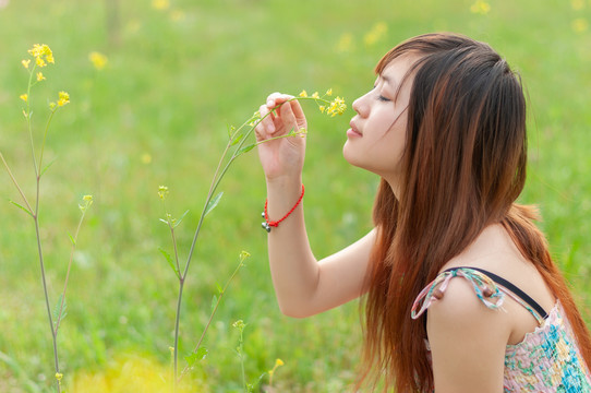 油菜花美女